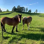 Dom Na Skraju Lasu 別荘 *