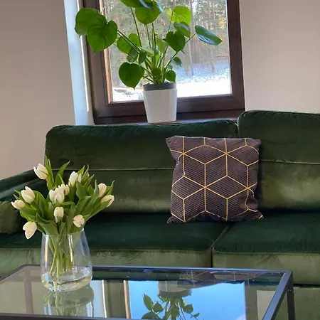 度假居 Dom Na Skraju Lasu Mikołajki