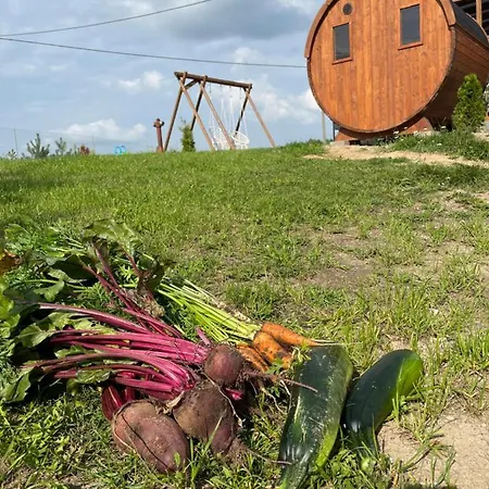 Dom Na Skraju Lasu 度假居