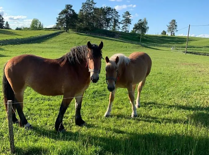 Dom Na Skraju Lasu Prázdninový dům *